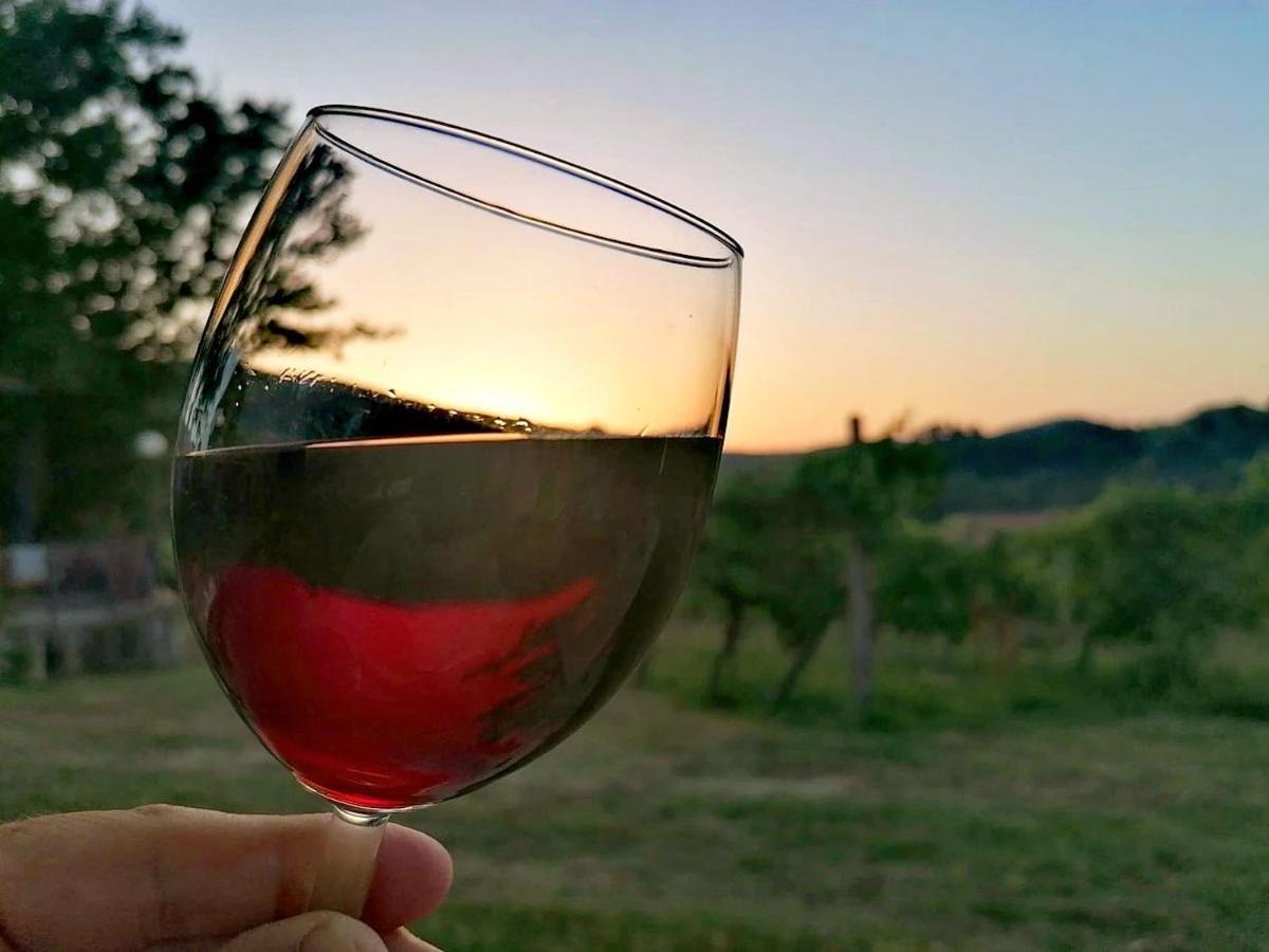 Podere Bellavista San Gimignano Dış mekan fotoğraf