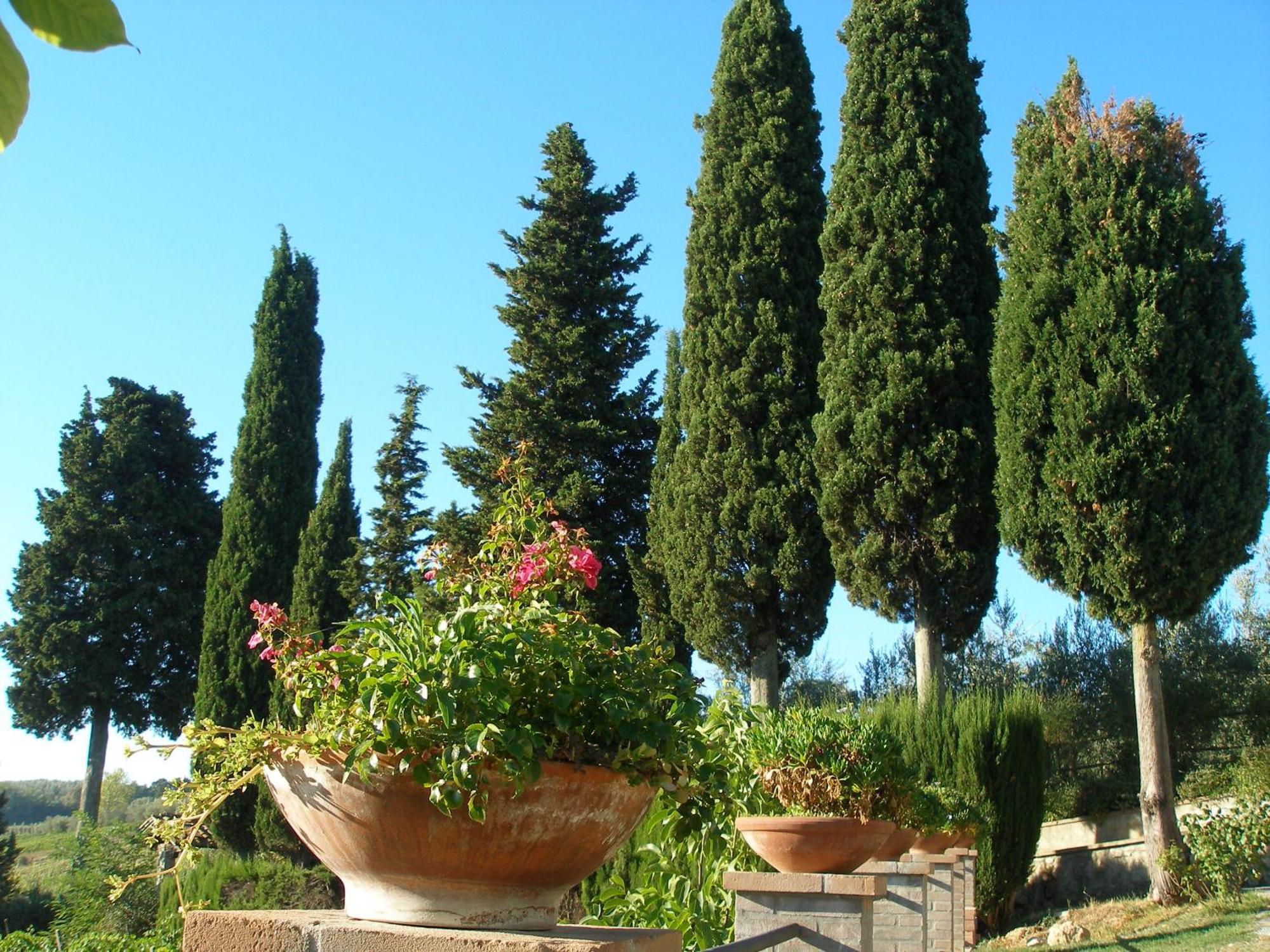 Podere Bellavista San Gimignano Dış mekan fotoğraf