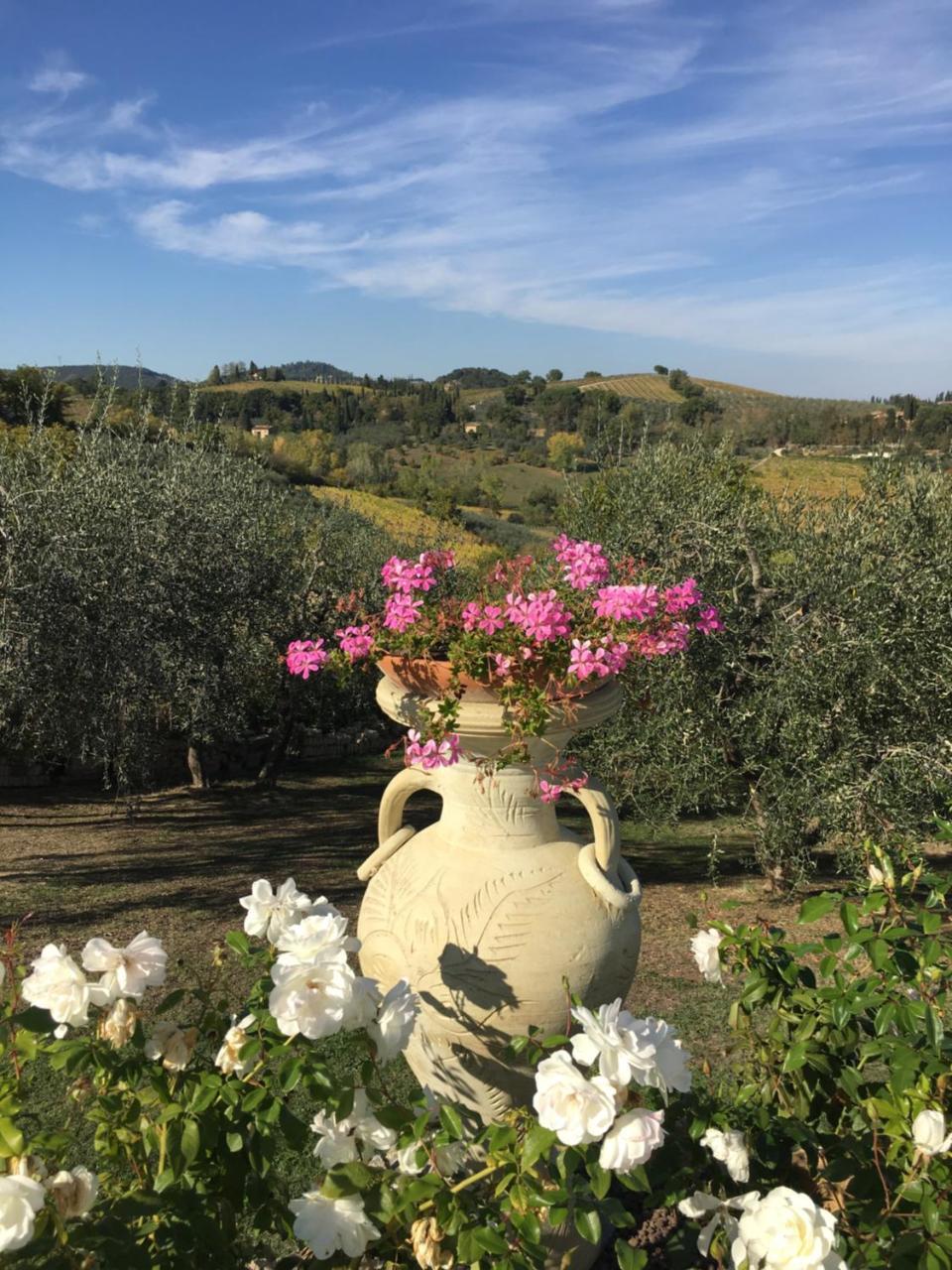 Podere Bellavista San Gimignano Dış mekan fotoğraf