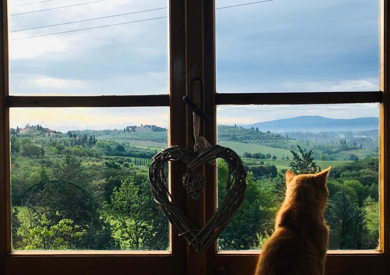 Podere Bellavista San Gimignano Dış mekan fotoğraf