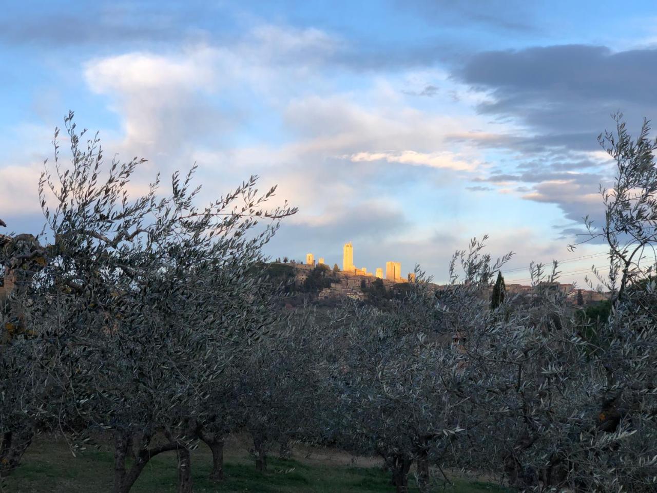 Podere Bellavista San Gimignano Dış mekan fotoğraf