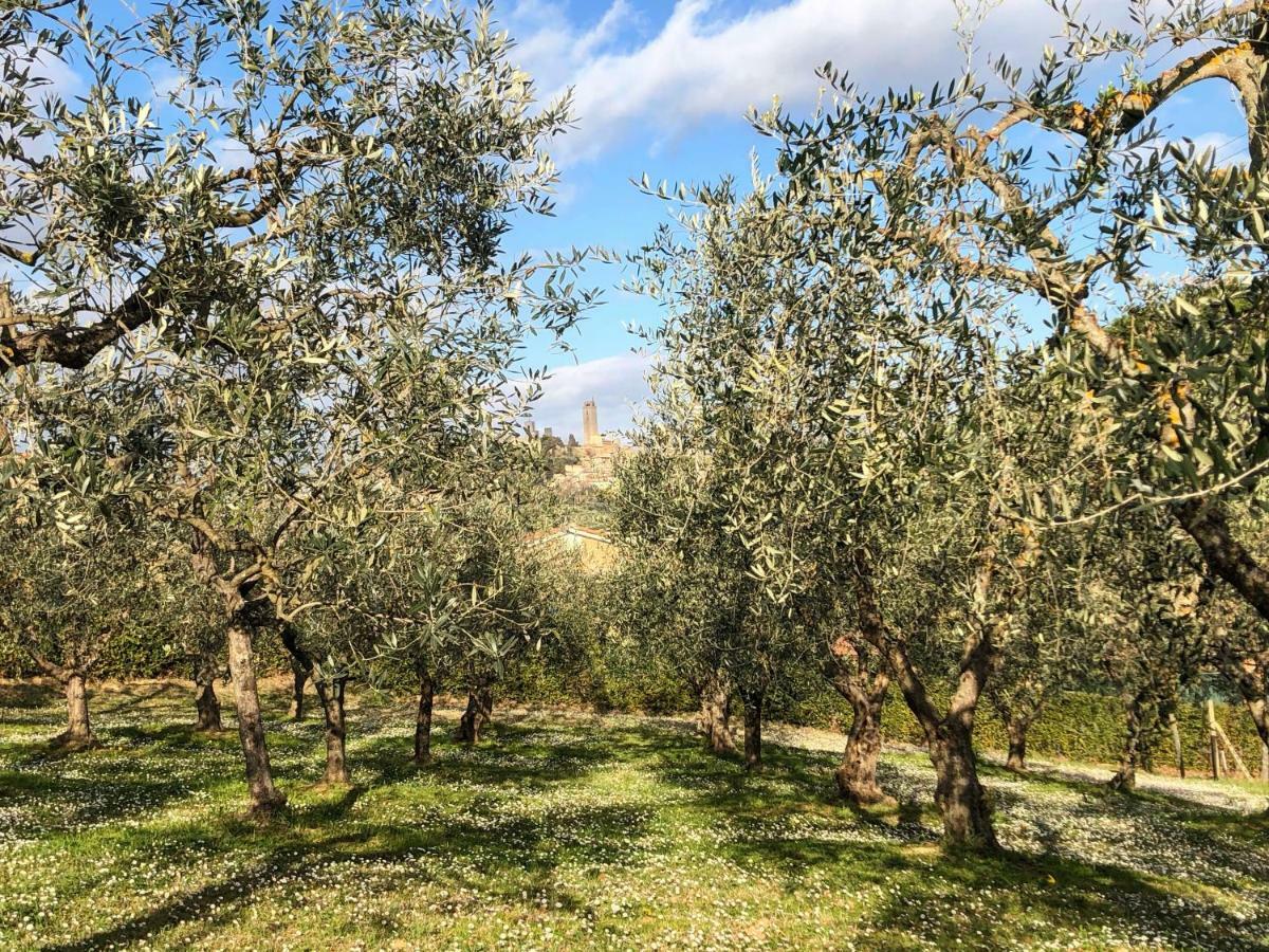 Podere Bellavista San Gimignano Dış mekan fotoğraf