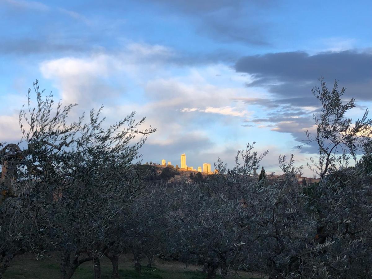 Podere Bellavista San Gimignano Dış mekan fotoğraf